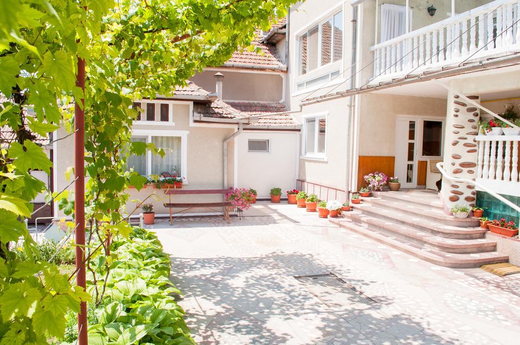 Casa Maya Villa Haţeg Værelse billede