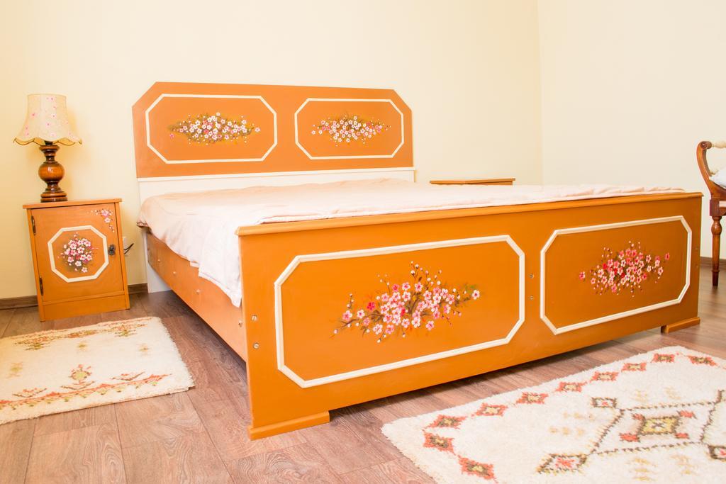 Casa Maya Villa Haţeg Værelse billede